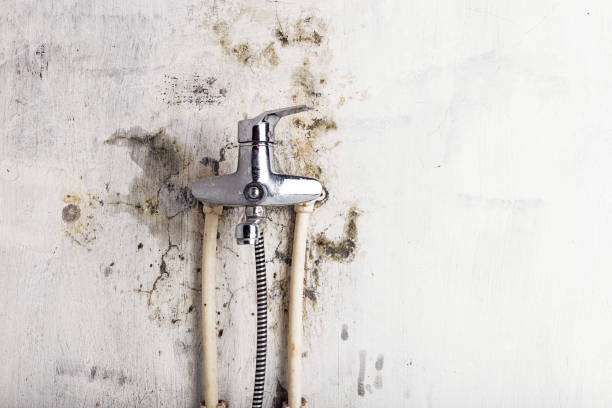 Home Mold Removal in Thunderbolt, GA