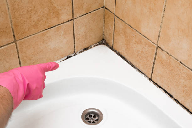 Best Mold Testing  in Thunderbolt, GA
